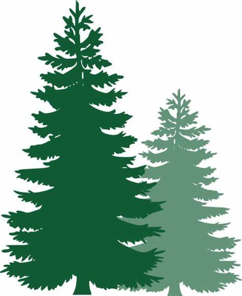 Loft Pines Homeowners Association Logo