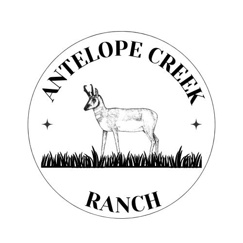 Antelope Creek Ranch Logo